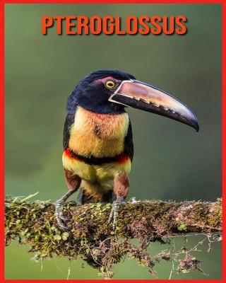 Book cover for Pteroglossus