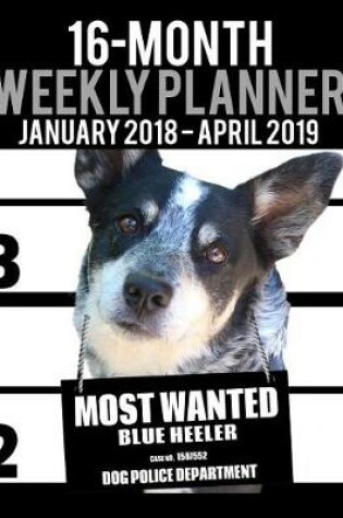 Cover of 16 Month Weekly Planner January 2018-April 2019 - Most Wanted Blue Heeler