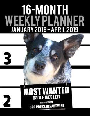 Book cover for 16 Month Weekly Planner January 2018-April 2019 - Most Wanted Blue Heeler