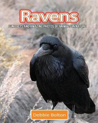 Book cover for Ravens