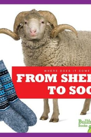 Cover of From Sheep to Sock