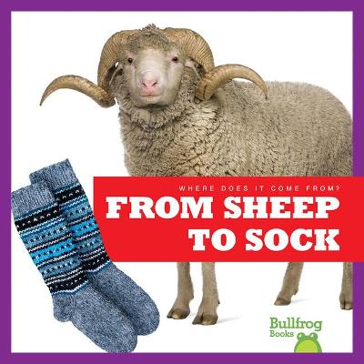 Book cover for From Sheep to Sock