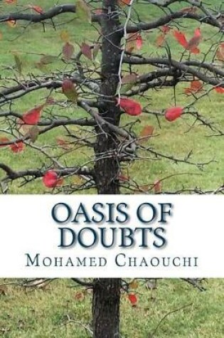 Cover of Oasis of Doubts