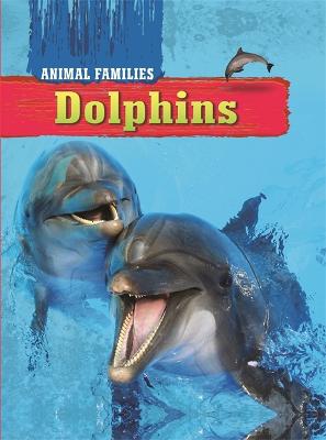 Cover of Animal Families: Dolphins