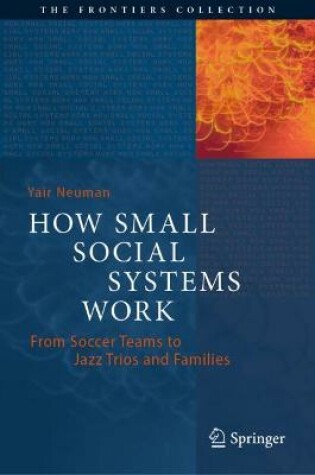 Cover of How Small Social Systems Work