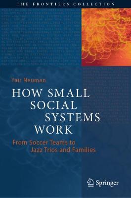 Book cover for How Small Social Systems Work