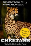 Book cover for Cheetahs