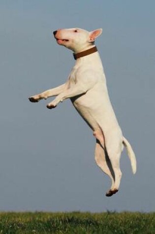 Cover of A Bull Terrier Dog Jumping for Joy Journal