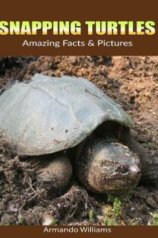 Cover of Snapping Turtles