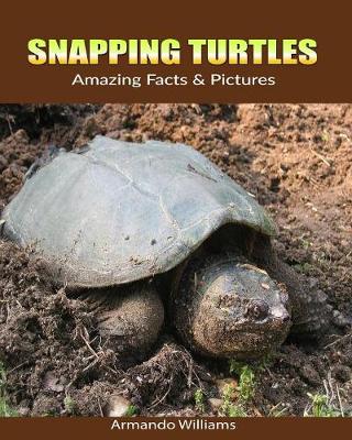 Book cover for Snapping Turtles