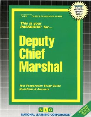 Book cover for Deputy Chief Marshal