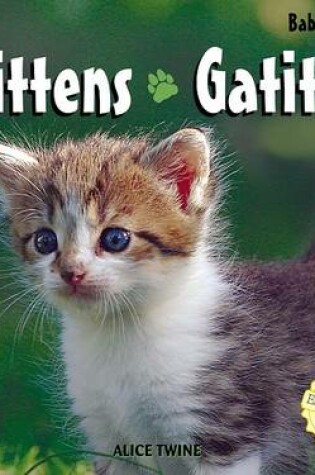 Cover of Kittens / Gatitos