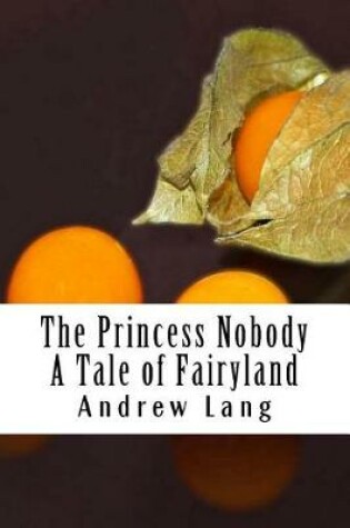 Cover of The Princess Nobody A Tale of Fairyland