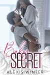 Book cover for Baby Secret