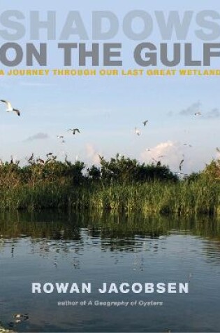 Cover of Shadows on the Gulf