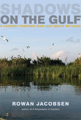 Book cover for Shadows on the Gulf
