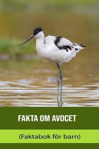 Cover of Fakta om Avocet (Faktabok för barn)