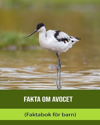 Book cover for Fakta om Avocet (Faktabok för barn)