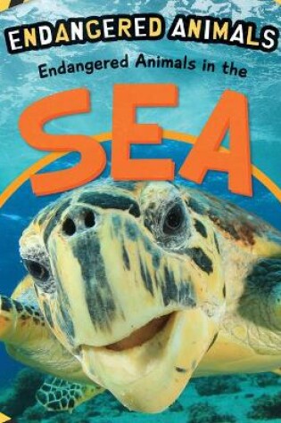 Cover of Endangered Animals in the Sea
