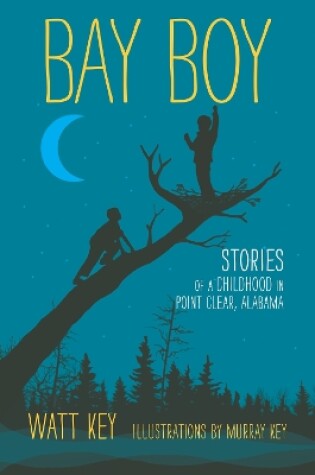 Cover of Bay Boy