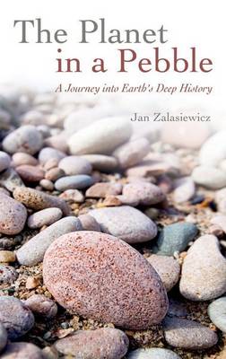 Book cover for The Planet in a Pebble