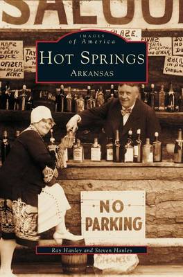 Book cover for Hot Springs