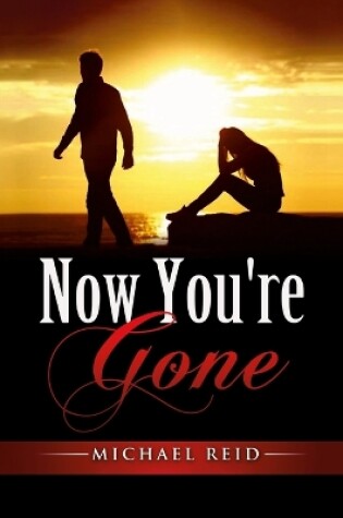 Cover of Now You're Gone