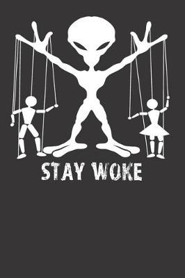 Book cover for Stay Woke