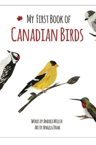 Cover of My First Book of Canadian Birds