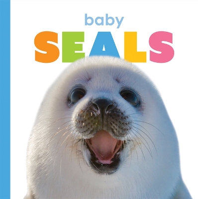 Cover of Baby Seals