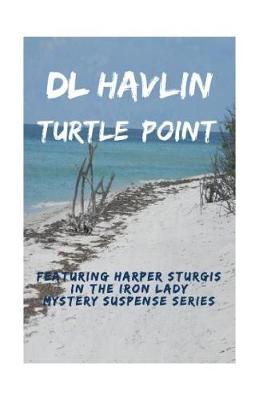 Book cover for Turtle Point