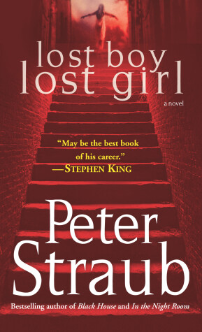 Book cover for Lost Boy Lost Girl