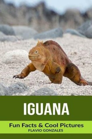 Cover of Iguana