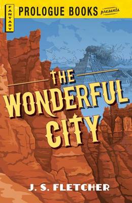 Cover of The Wonderful City