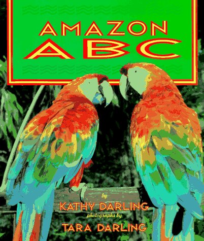 Book cover for Amazon ABC