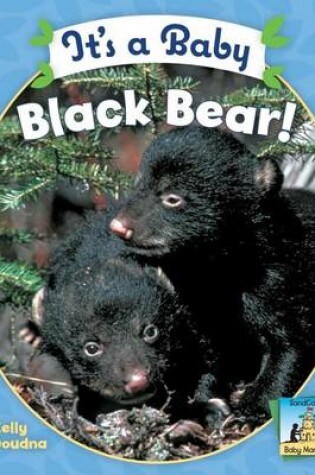 Cover of It's a Baby Black Bear