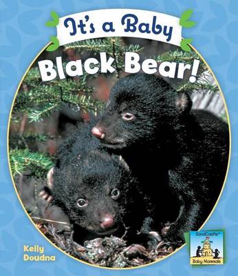 Book cover for It's a Baby Black Bear