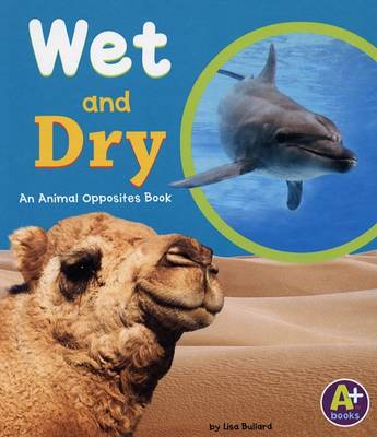 Book cover for Wet and Dry