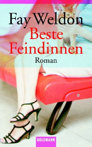 Book cover for Beste Feindinnen