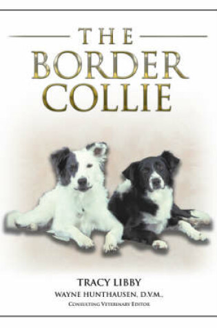 Cover of The Border Collie