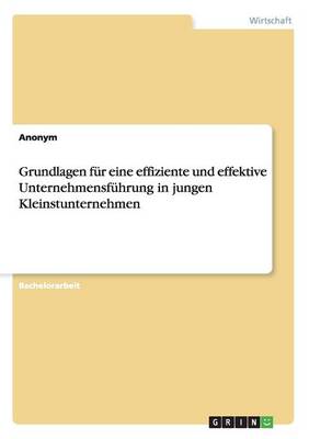 Book cover for Grundlagen für eine effiziente und effektive Unternehmensführung in jungen Kleinstunternehmen