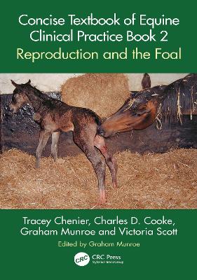Book cover for Concise Textbook of Equine Clinical Practice Book 2