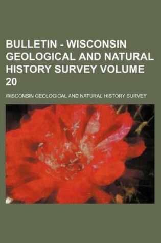 Cover of Bulletin - Wisconsin Geological and Natural History Survey Volume 20