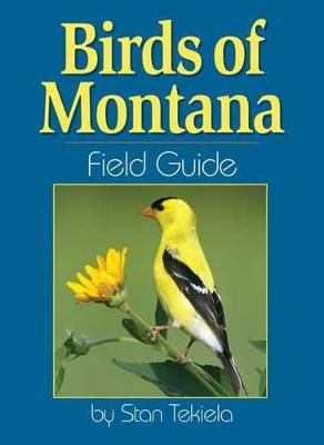 Book cover for Birds of Montana Field Guide