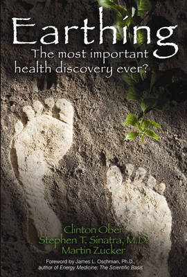 Book cover for Earthing