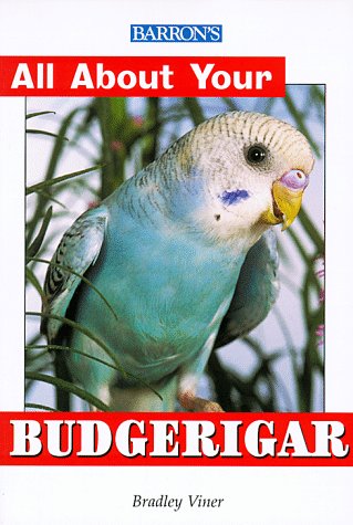 Book cover for Budgerigar