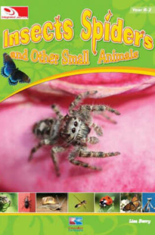 Cover of Insects, Spiders and Other Small Insects