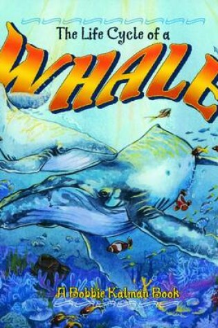 Cover of The Life Cycle of a Whale