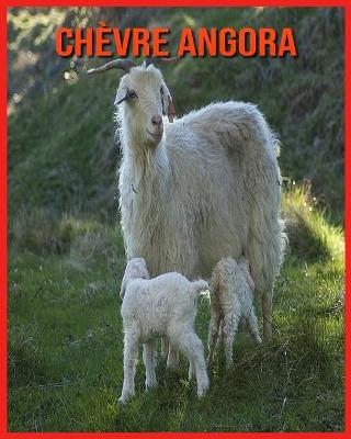 Book cover for Chèvre Angora