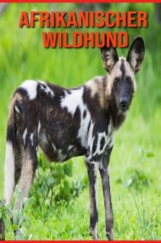 Cover of Afrikanischer Wildhund